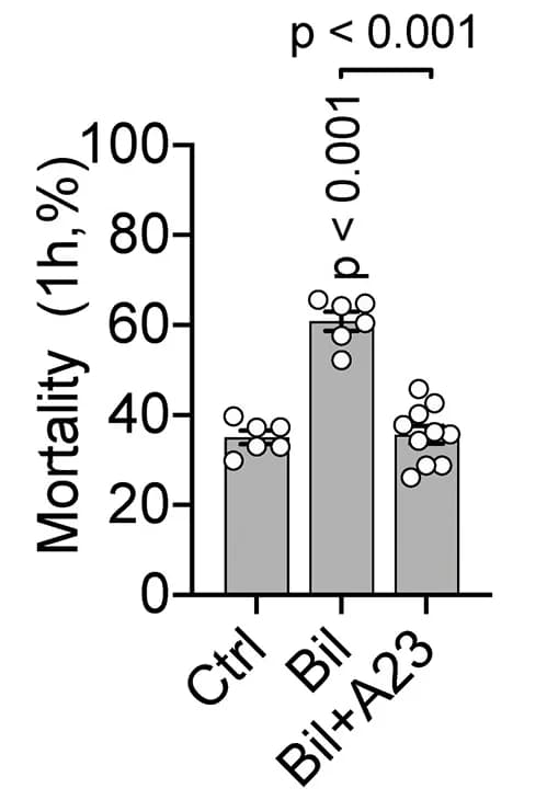Open access visualization of Bar Plot, Scatter Plot, Error Bars, Mortality Ratio, Cortical Neurons