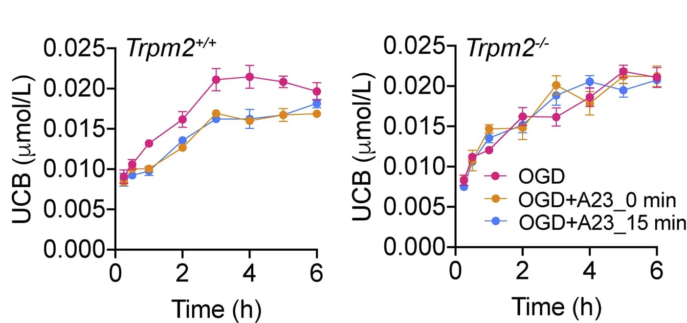 Open access visualization of Line Plot, Error Bars, OGD, UCB Concentration, Brain Slices