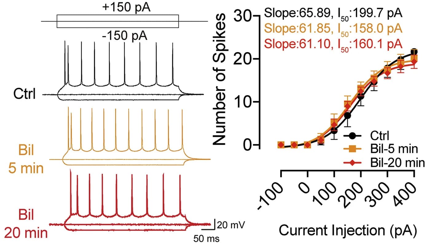 Open access visualization of Line Plot, Error Bars, Action Potentials, Current Injections, Bilirubin Perfusion