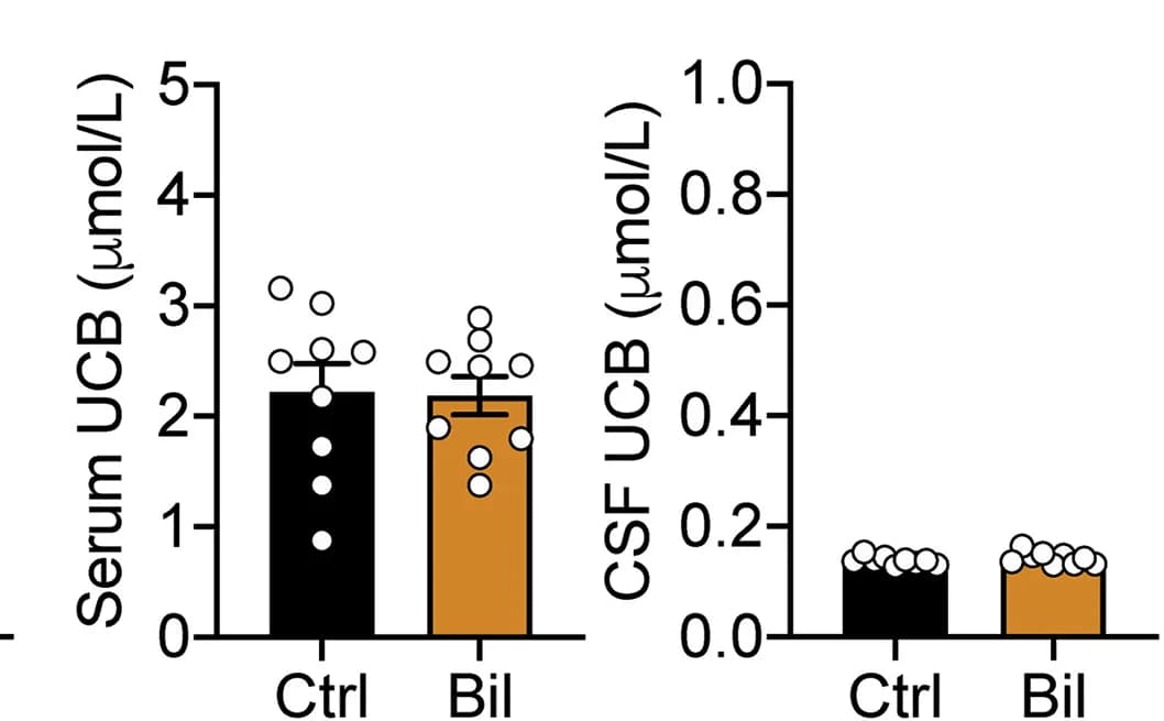 Open access visualization of Bar Plot, Error Bars, Serum UCB Concentration, CSF UCB Concentration, D1066AKI Mice