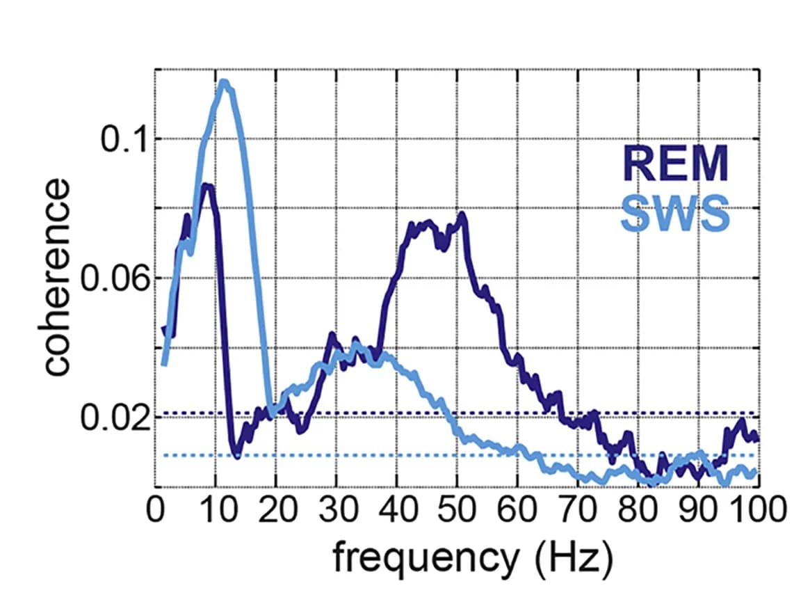 Open access visualization of Line Plot, Magnitude-square Coherence, Neocortical Local Field Potentials, Spike Train, Neuron