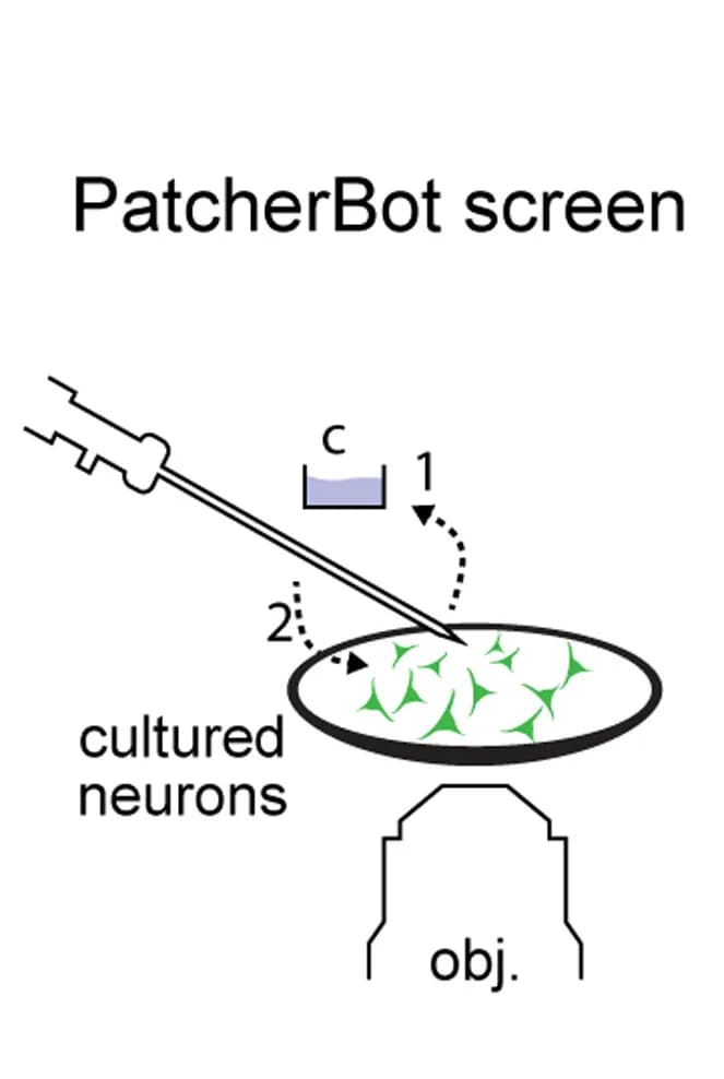 Open access visualization of Illustration, Workflow, uM Workstation, Screening Platform, PatcherBot