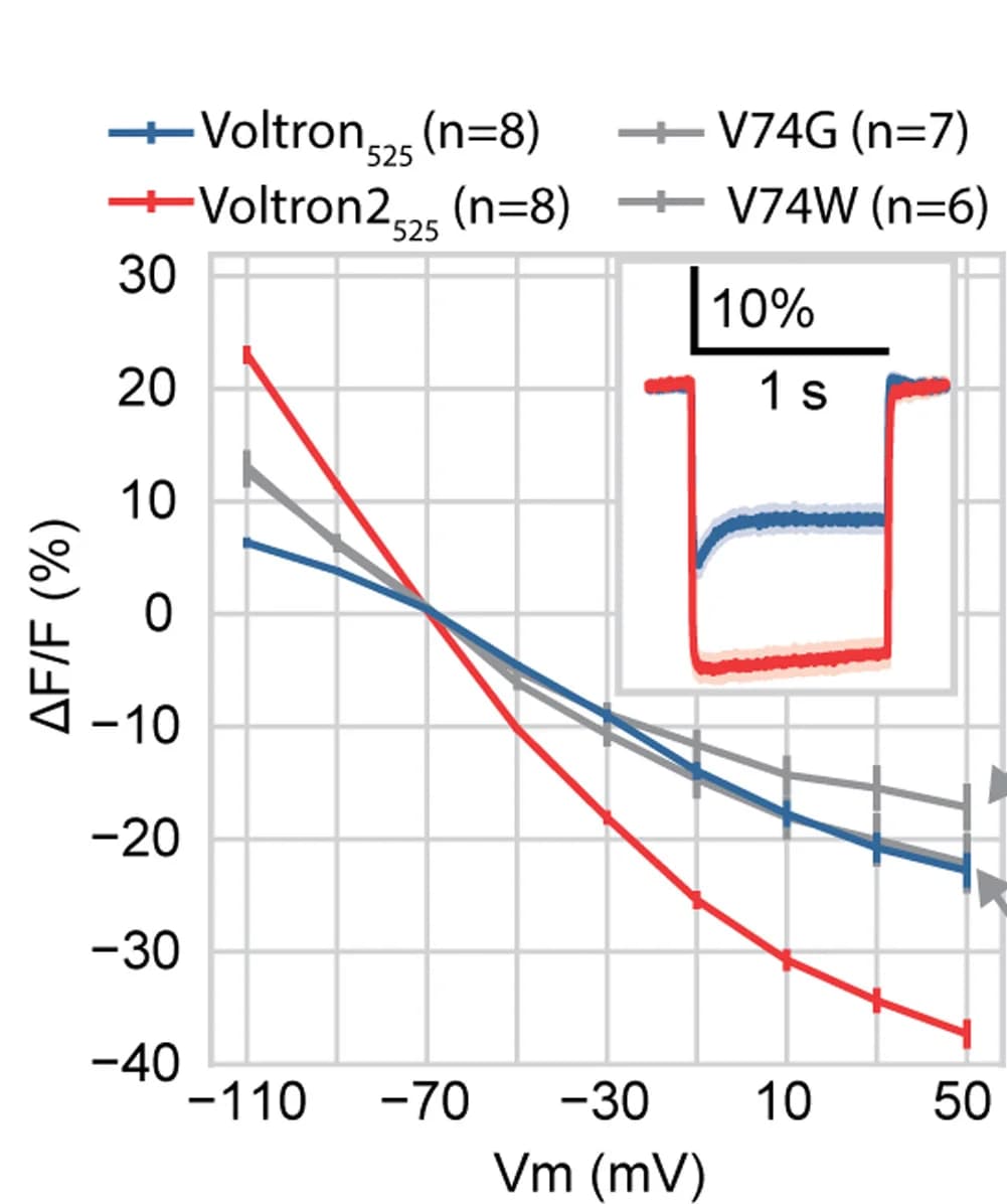 Open access visualization of Line Plot, Error Bars, Fluorescence, Voltage Steps, Voltron525