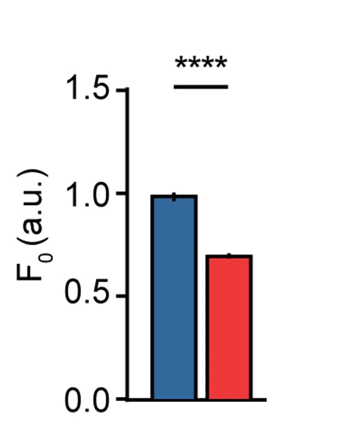 Open access visualization of Bar Plot, Error Bars, Clustered, Resting Fluorescence, mTagBFP2