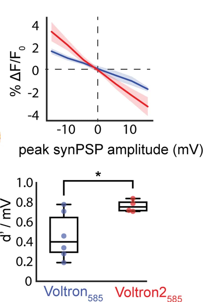Open access visualization of Line Plot, Error Bars, Box Plot, Scatter Plot, Fluorescence