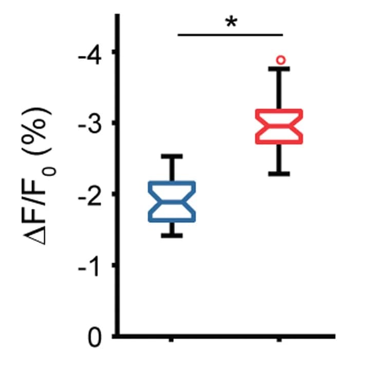 Open access visualization of Box Plot, Spike Amplitude, Wilcoxon Rank-Sum Test, Voltron2552, Voltron552