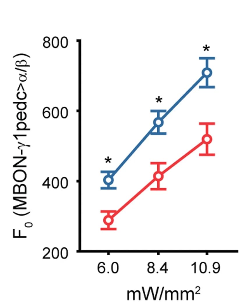 Open access visualization of Line Plot, Error Bars, Fluorescence Levels, Voltron2552, Student's t-test