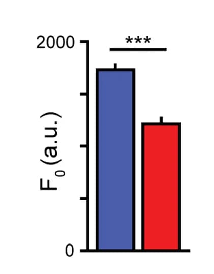 Open access visualization of Bar Plot, Error Bars, Voltron552-ST, Voltron2552-ST, Spike Amplitude
