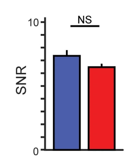 Open access visualization of Bar Plot, Error Bars, Clustered, Voltron525-ST, Voltron2525-ST