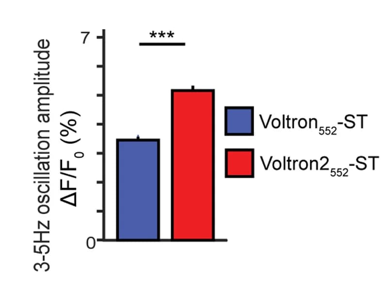 Open access visualization of Bar Plot, Error Bars, Voltron525-ST, Voltron2525-ST, Spike Amplitude