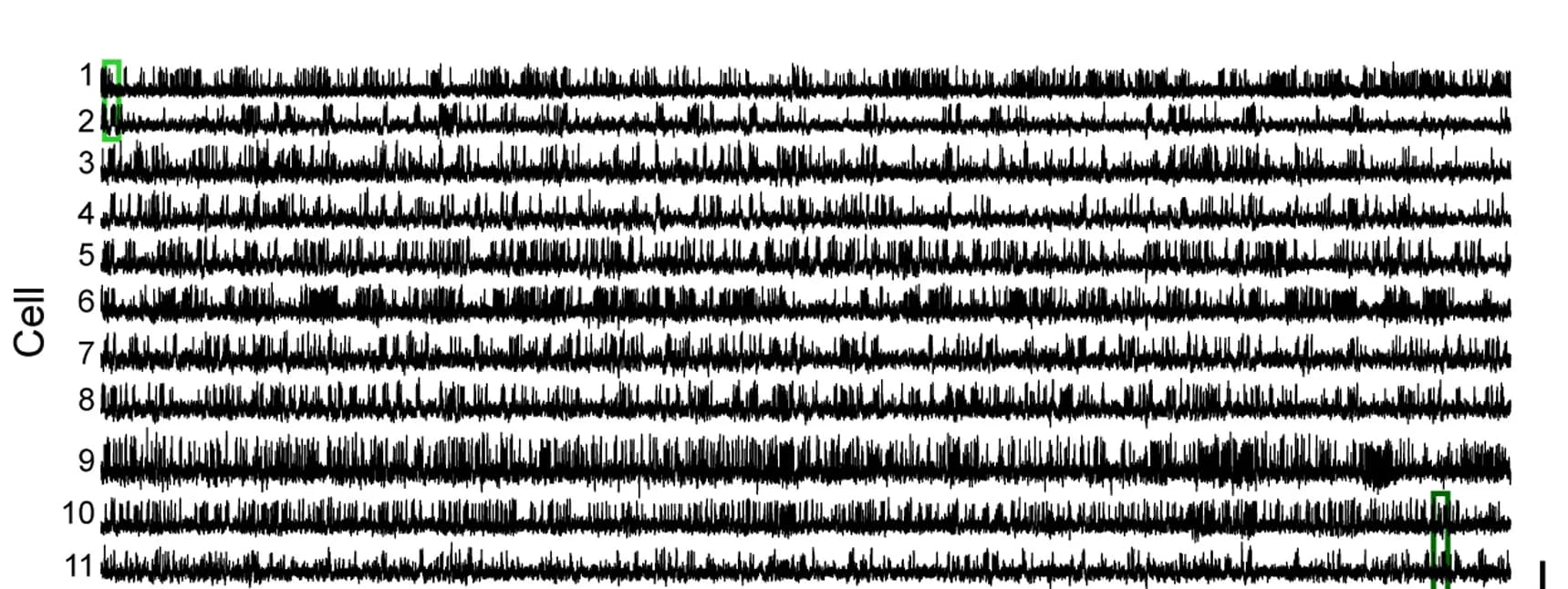 Open access visualization of Line Plot, DF/F0 Traces, SNR