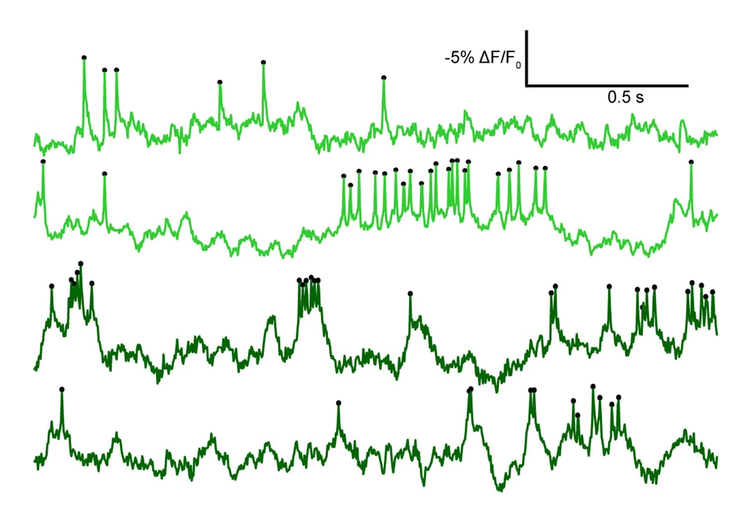 Open access visualization of Line Plot, DF/F0 Traces, Action Potentials