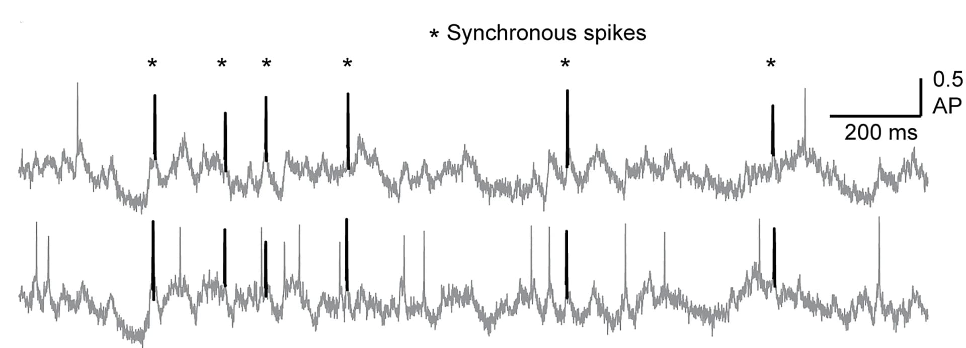 Open access visualization of Line Plot, Fluorescence Traces, PV Neurons, Action Potentials