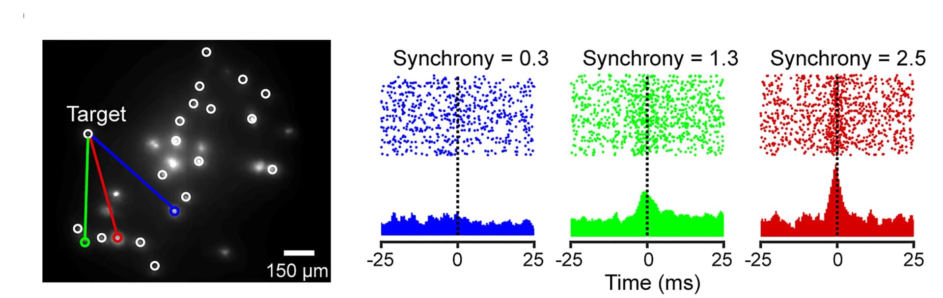Open access visualization of Scatter Plot, Line Plot, Density Plot, Spatial Locations, CCGs