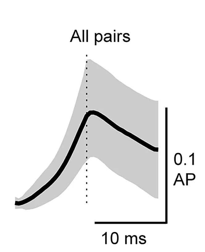 Open access visualization of Line Plot, Error Bars, Co-depolarization, Cell Pairs, Reference Spikes