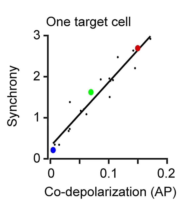 Open access visualization of Scatter Plot, Regression Plot, Correlation, Synchrony, Co-depolarization
