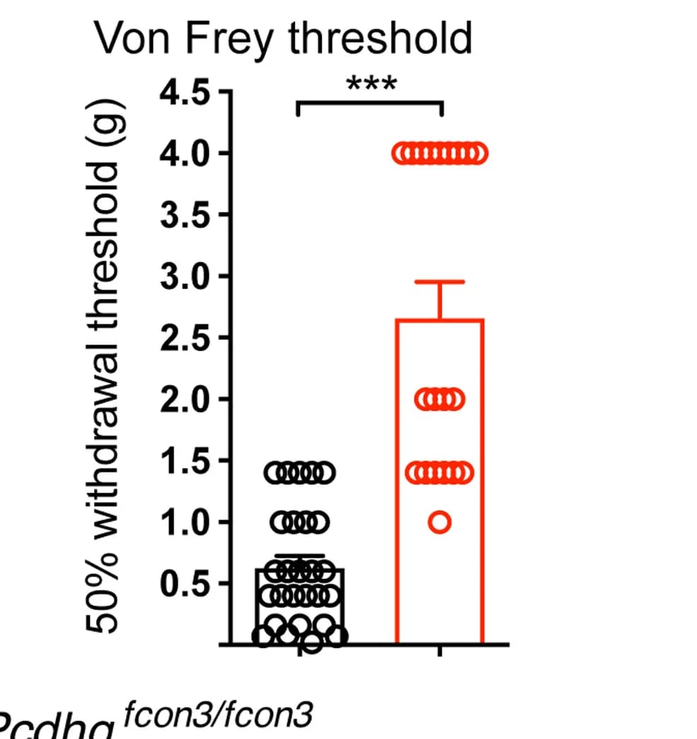 Open access visualization of Bar Plot, Error Bars, Scatter Plot, Von Frey Thresholds, Littermate Control