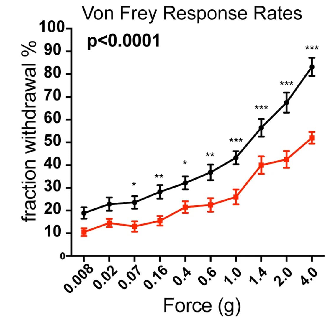 Open access visualization of Line Plot, Error Bars, Response Rates, Littermate Control, AdvillinCre;Pcdhgfcon3/fcon3mice
