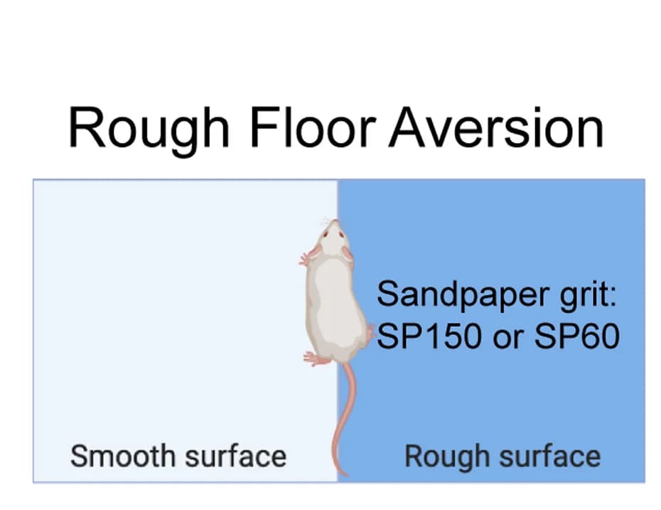 Open access visualization of Illustration, Diagram, Rough Floor Aversion Assay