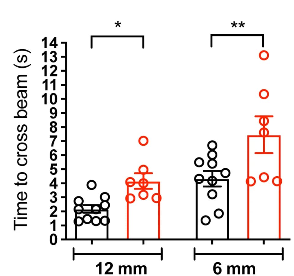Open access visualization of Bar Plot, Error Bars, Scatter Plot, Time, Balance Beam
