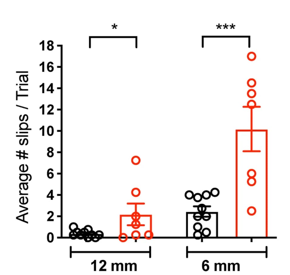 Open access visualization of Error Bars, Scatter Plot, Slips, Balance Beam, Littermate Control