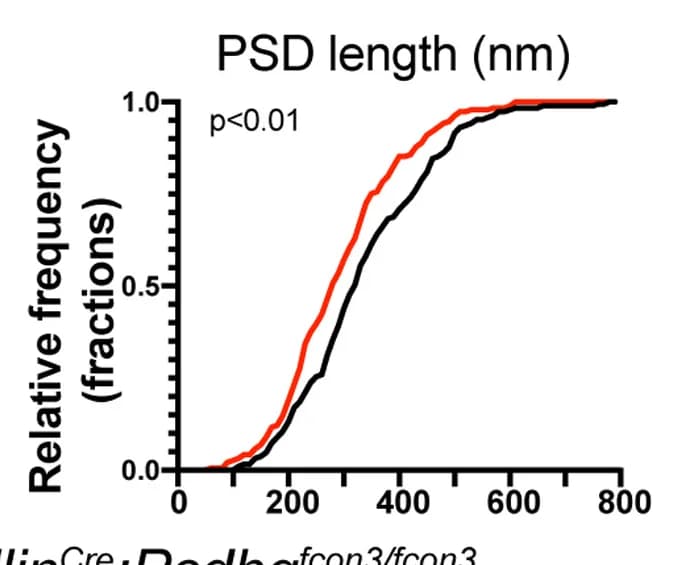 Open access visualization of Line Plot, Line Step, Quantifications, PSD Length, Control