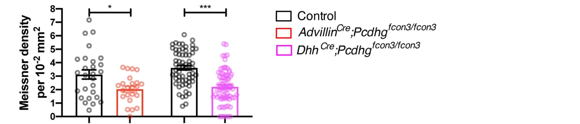 Open access visualization of Bar Plot, Error Bars, Scatter Plot, Quantifications, Meissner Corpuscles