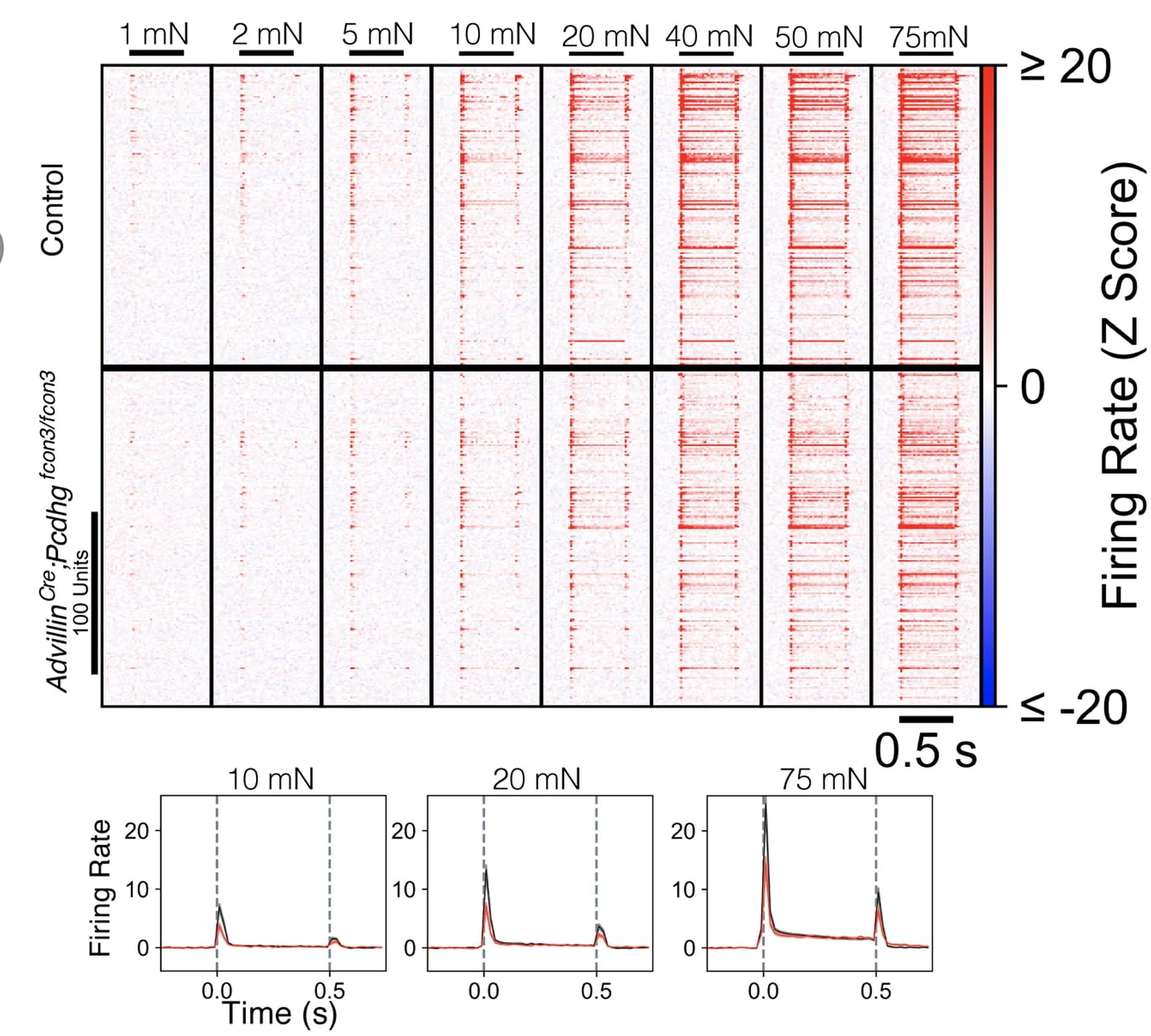 Open access visualization of Heatmap, Line Plot, Representative Units, Skin Indentation, Firing Rates