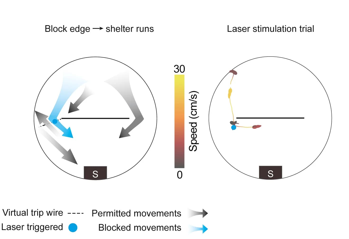 Open access visualization of Line Plot, Mouse, Stimulation, Behavior