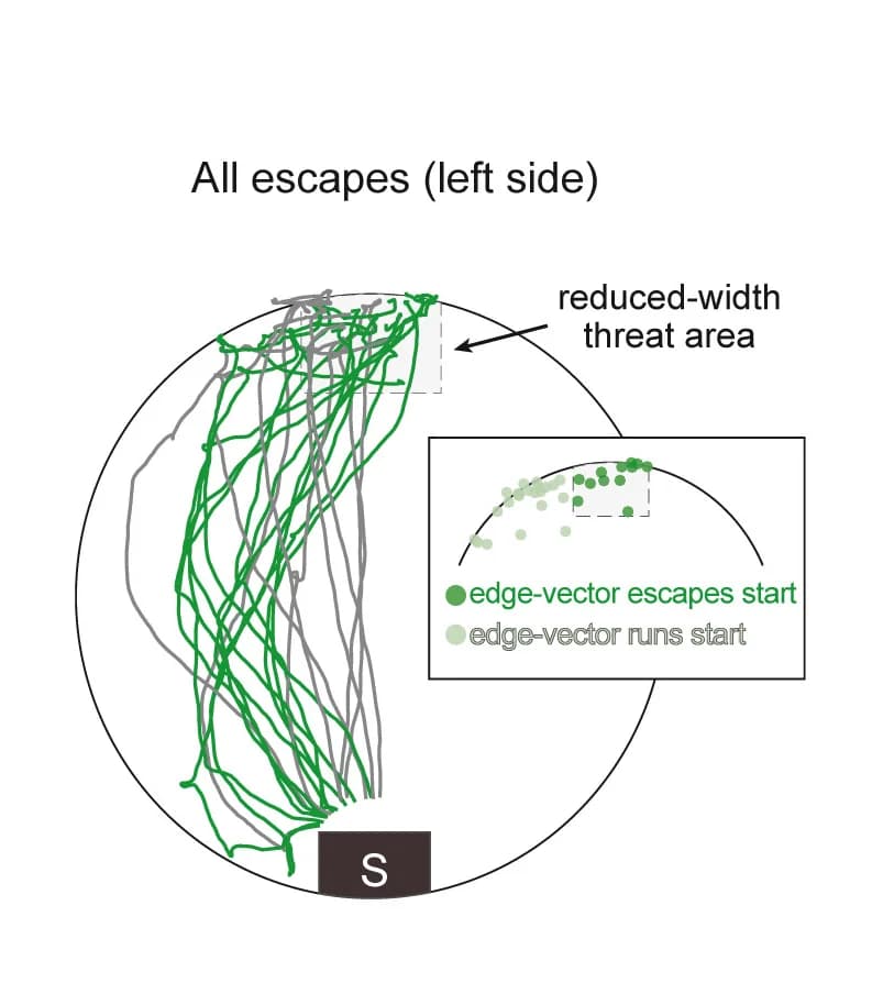 Open access visualization of Line Plot, Scatter Plot, Obstacle Removal, Threat Zone, Trip Wire