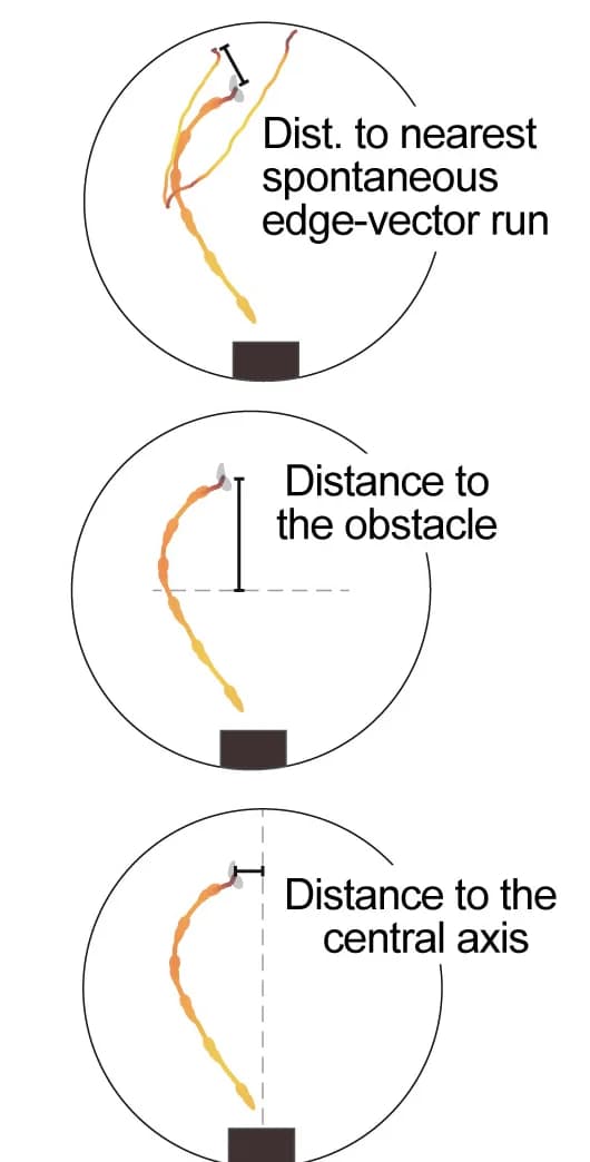 Open access visualization of Line Plot, Spatial Metrics, Edge-vector Escape, Arena, Mouse Behavior