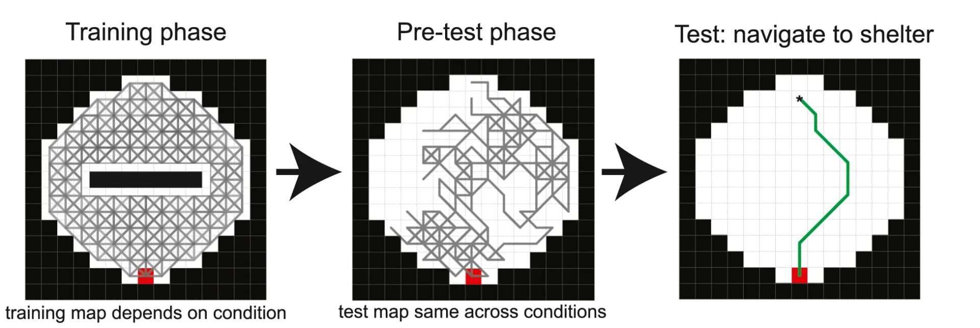 Open access visualization of Workflow, Illustration, Training Phase, Pre-test Phase, Testing Phases