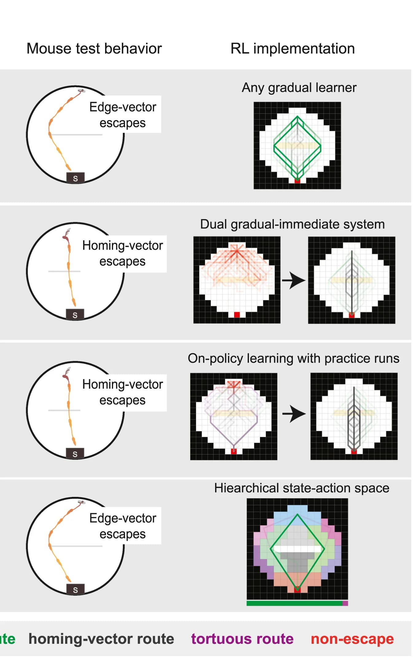 Open access visualization of Workflow, Illustration, Mouse Behavior, RL Agent, Q-learning