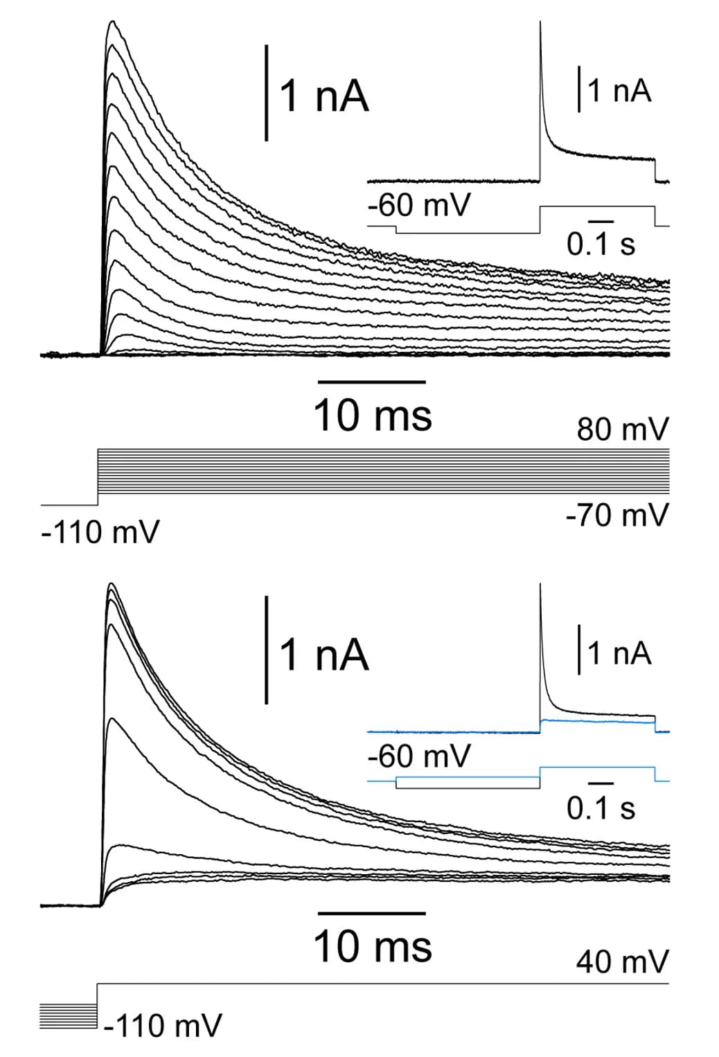 Open access visualization of Line Plot, Line Step, Current Traces, Voltage-Dependent Recruitment, Transient Outward Current