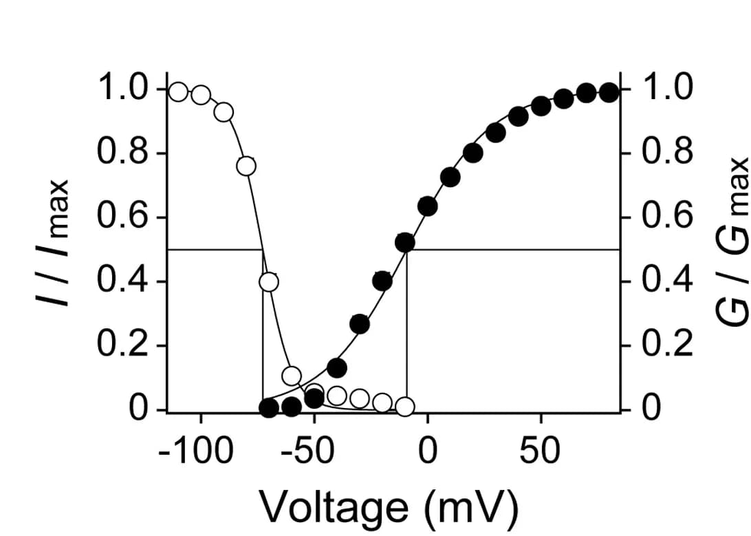 Open access visualization of Line Plot, Steady-State Activation, Inactivation Relationship, Transient Potassium Current, Boltzmann Functions