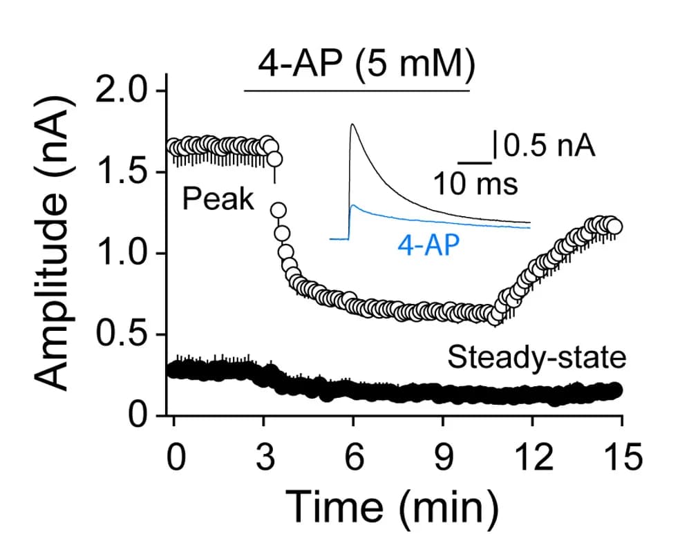 Open access visualization of Line Plot, Transient Potassium Current, Sustained Potassium Current, 4-Amino Pyridine, Outward Currents