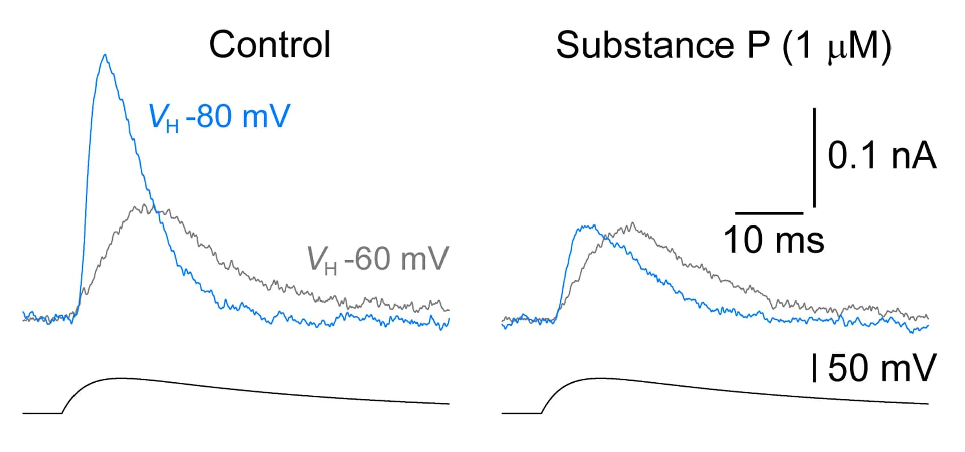 Open access visualization of Line Plot, Outward Currents, EPSP-Shaped Voltage Waveforms, Holding Potential, Substance P