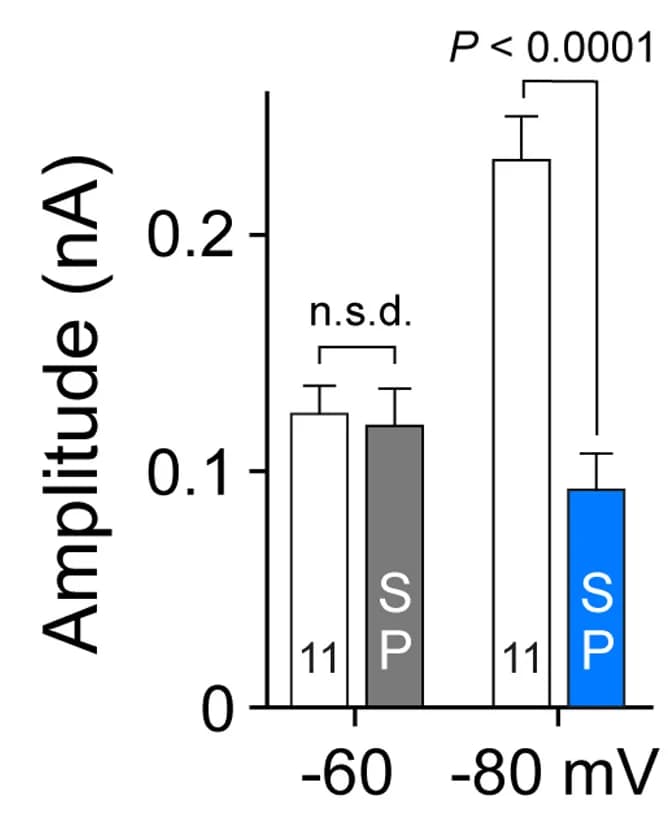 Open access visualization of Bar Plot, Error Bars, Clustered, Outward Currents, EPSP-Shaped Voltage Waveforms