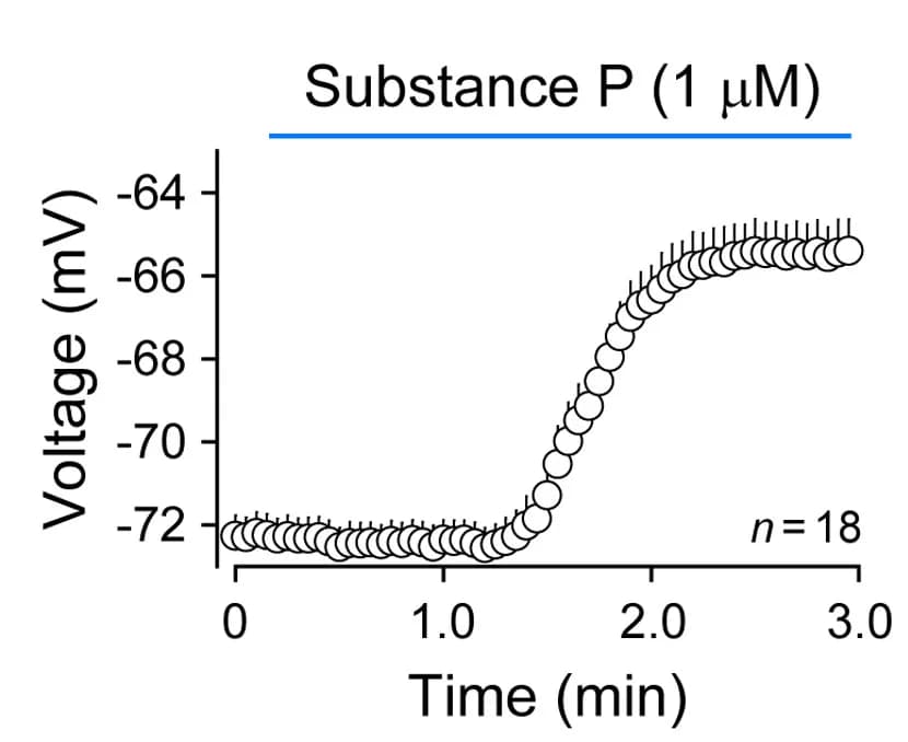 Open access visualization of Line Plot, Error Bars, Membrane Depolarization, Time Course