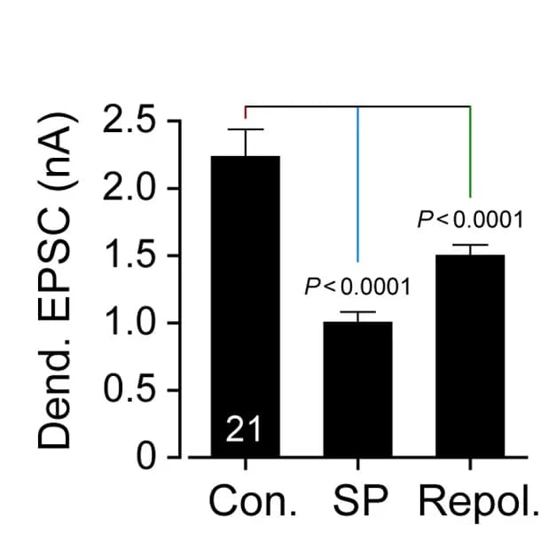 Open access visualization of Bar Plot, Error Bars, Dendritic Current, AP Outputs, Quantification