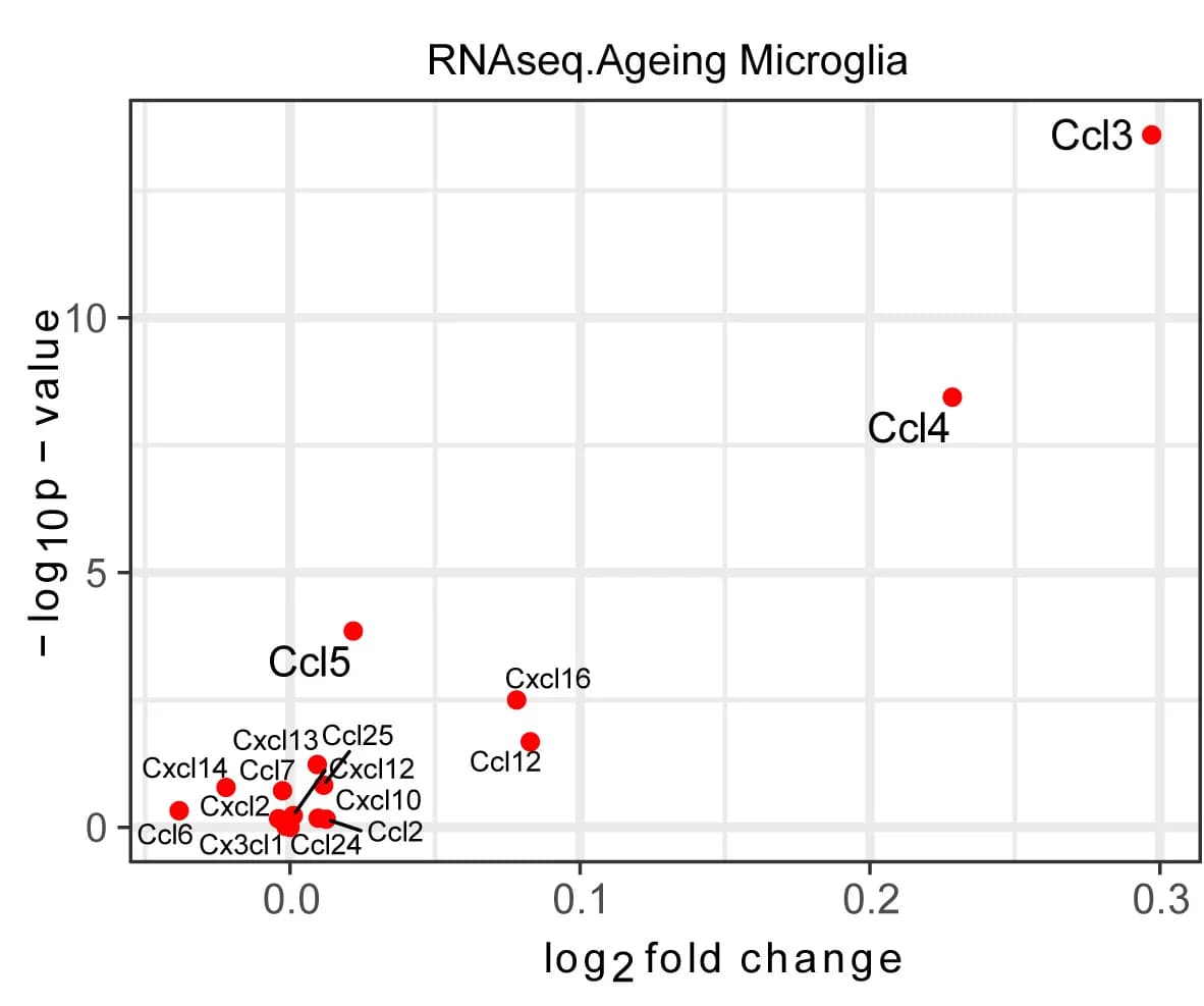Open access visualization of Volcano Plot, Chemokines, Microglia, Young Mice, Old Mice