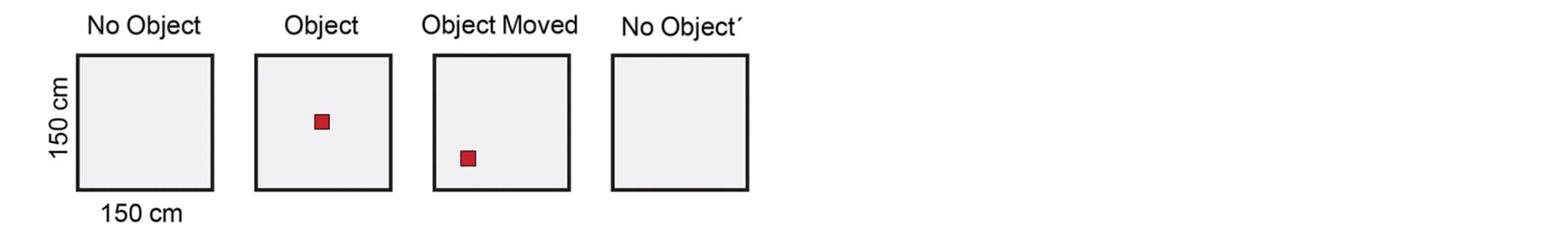 Open access visualization of Illustration, Experimental Protocol, Open Field Arena, Duplo Tower, Object
