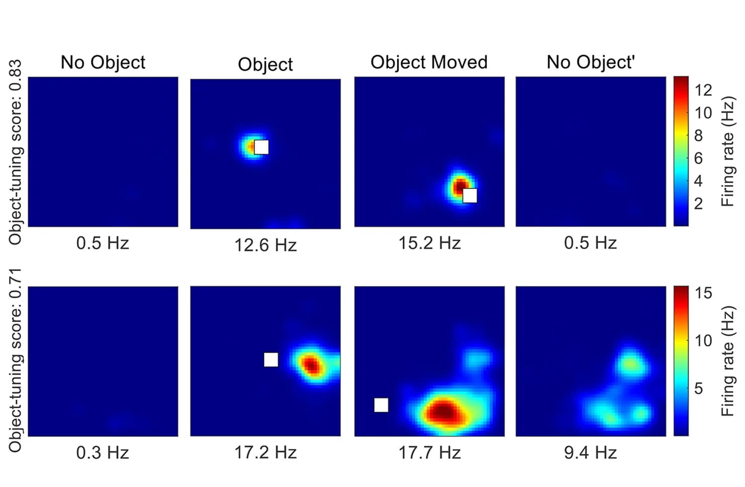 Open access visualization of Heatmap, Firing Rate Maps, Object Cell, Object-Vector Cell, Object Locations
