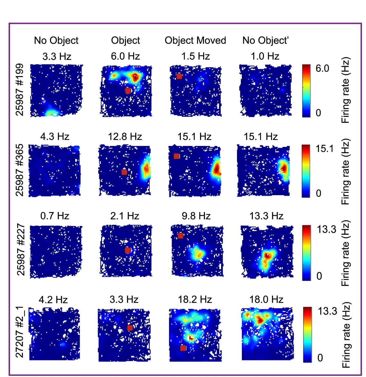 Open access visualization of Heatmap, Firing Rate Maps, CA1, Spatial Firing Pattern, Object