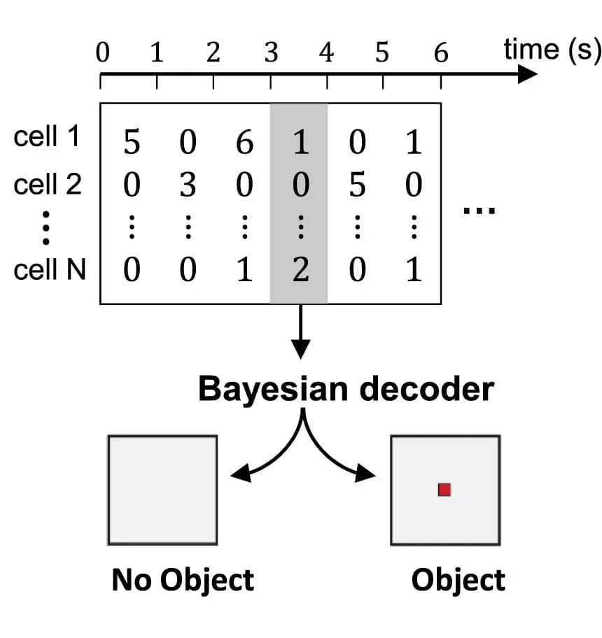 Open access visualization of Workflow, Flowchart, Table Image, Conceptual Framework, Bayesian Decoder