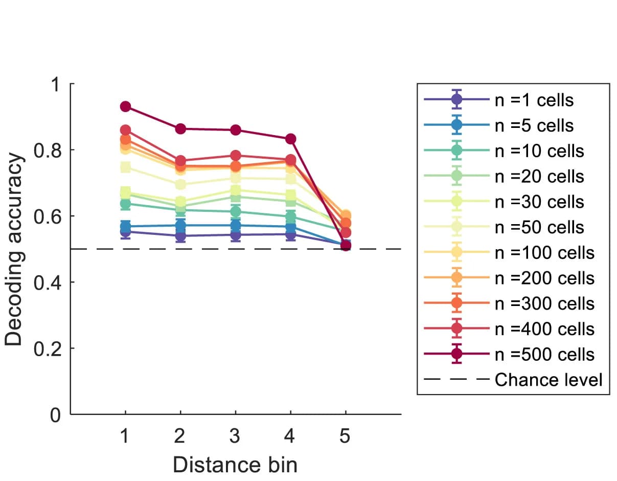 Open access visualization of Line Plot, Error Bars, Decoding accuracy, Distance, Object