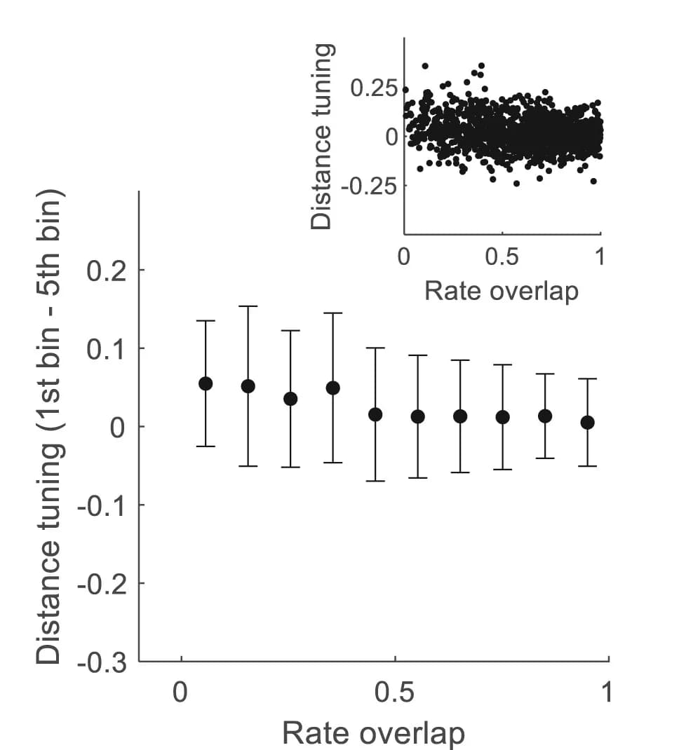 Open access visualization of Scatter Plot, Error Bars, Rate Overlap, Distance Tuning, Single-cell Properties