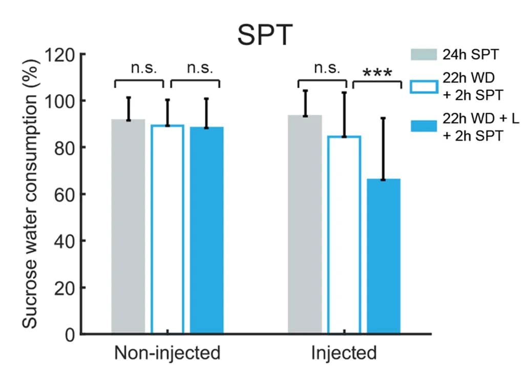 Open access visualization of Bar Plot, Error Bars, Clustered, Photostimulation, Sucrose Consumption