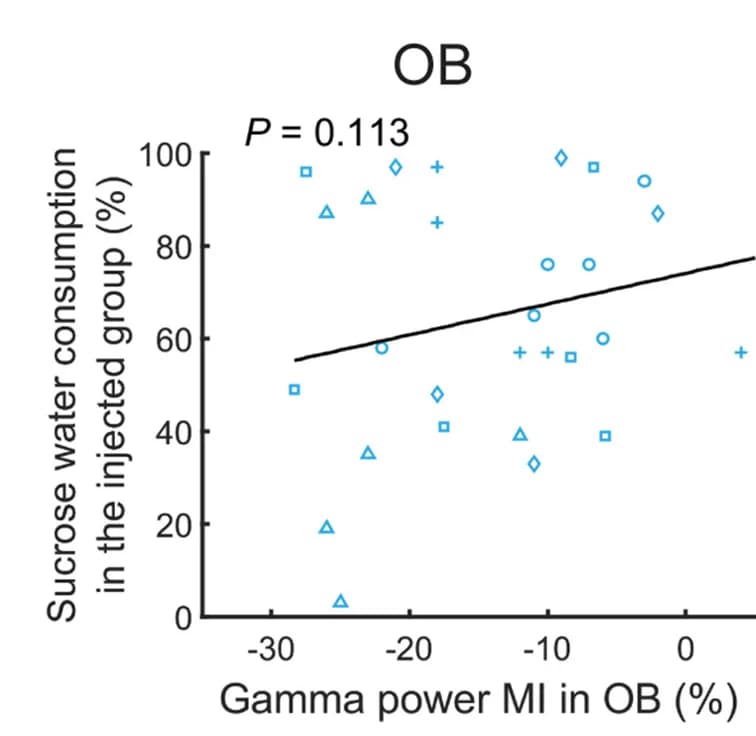 Open access visualization of Scatter Plot, Regression Plot, Correlations, Sucrose Preference, Gamma Power