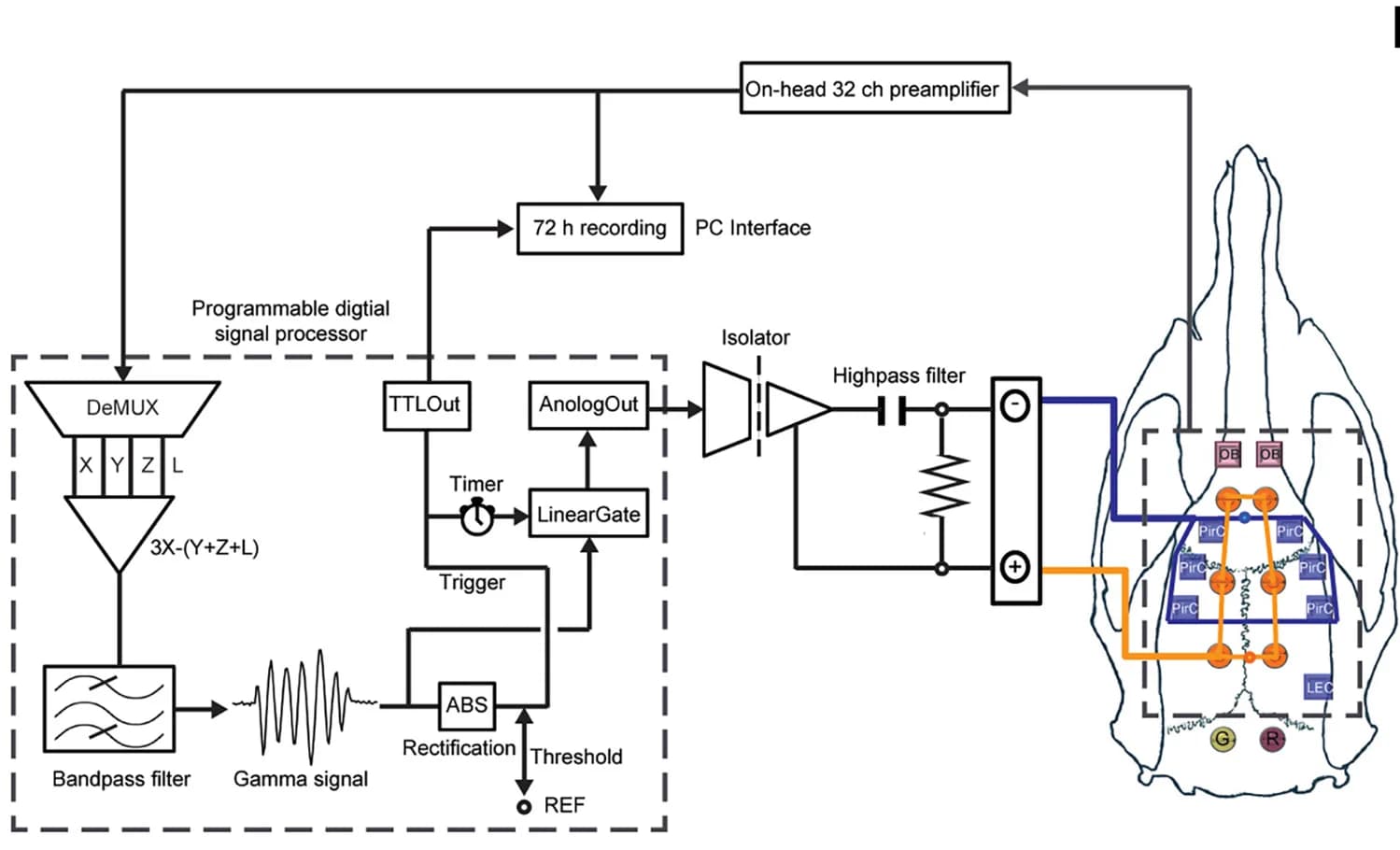 Open access visualization of Workflow, Flowchart, Illustration, Neuromodulation, Gamma Oscillations